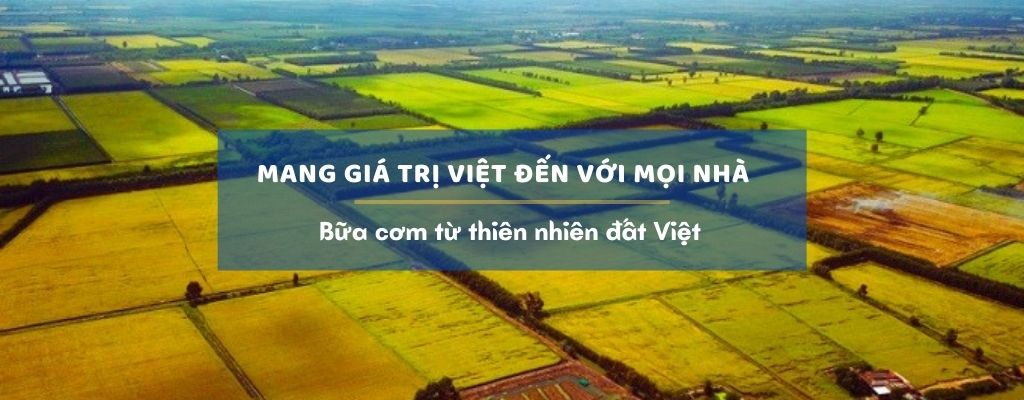 Gạo sạch bình dương